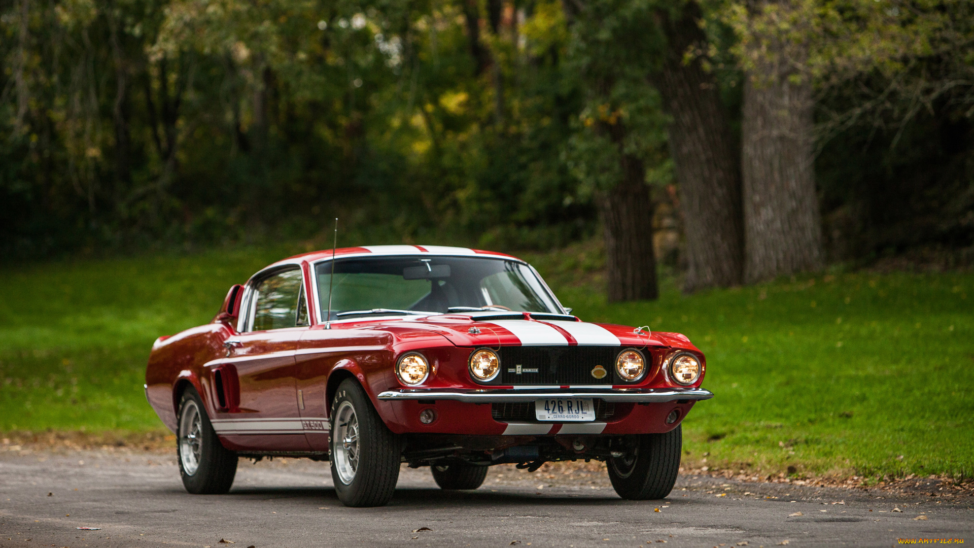 автомобили, mustang