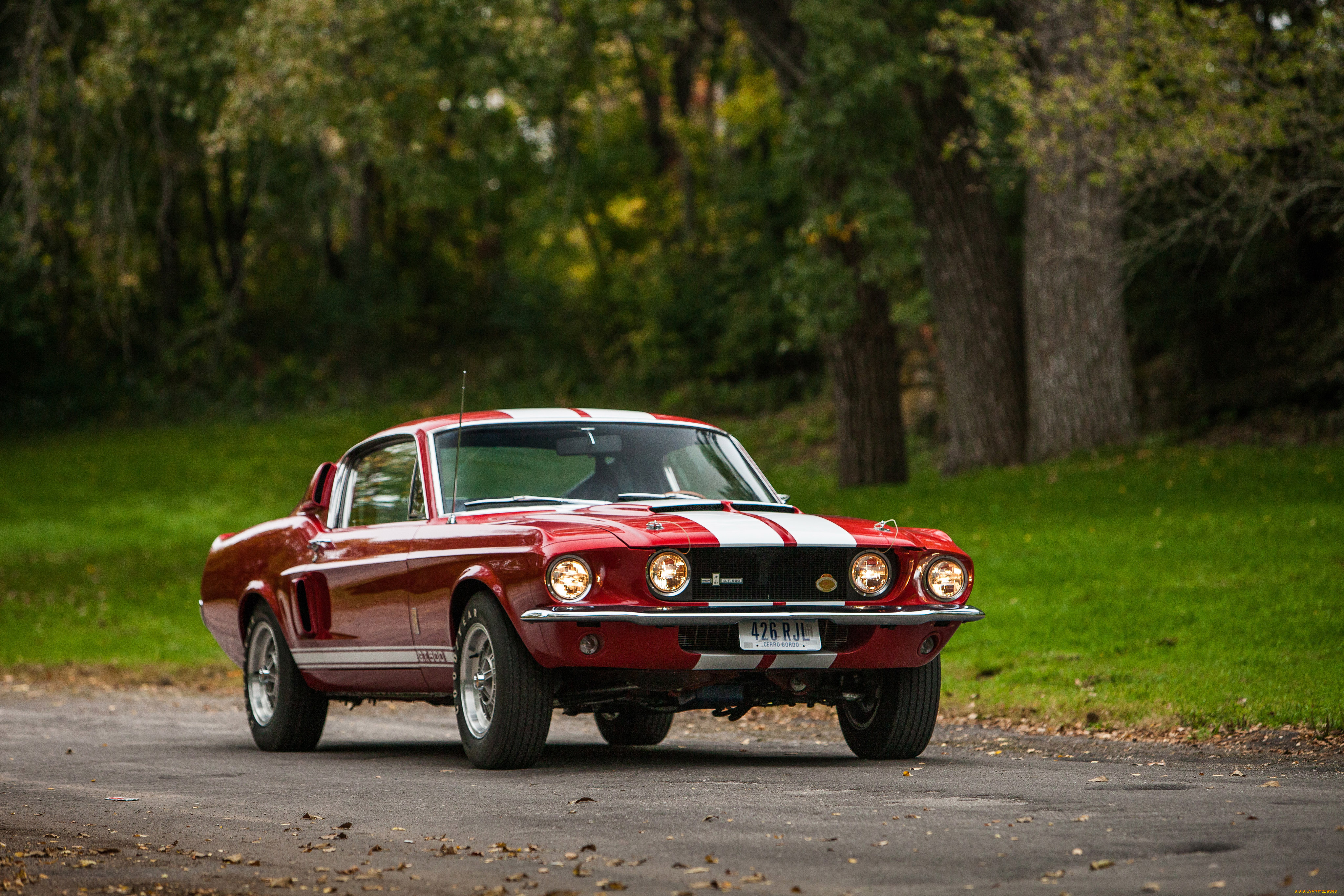 автомобили, mustang