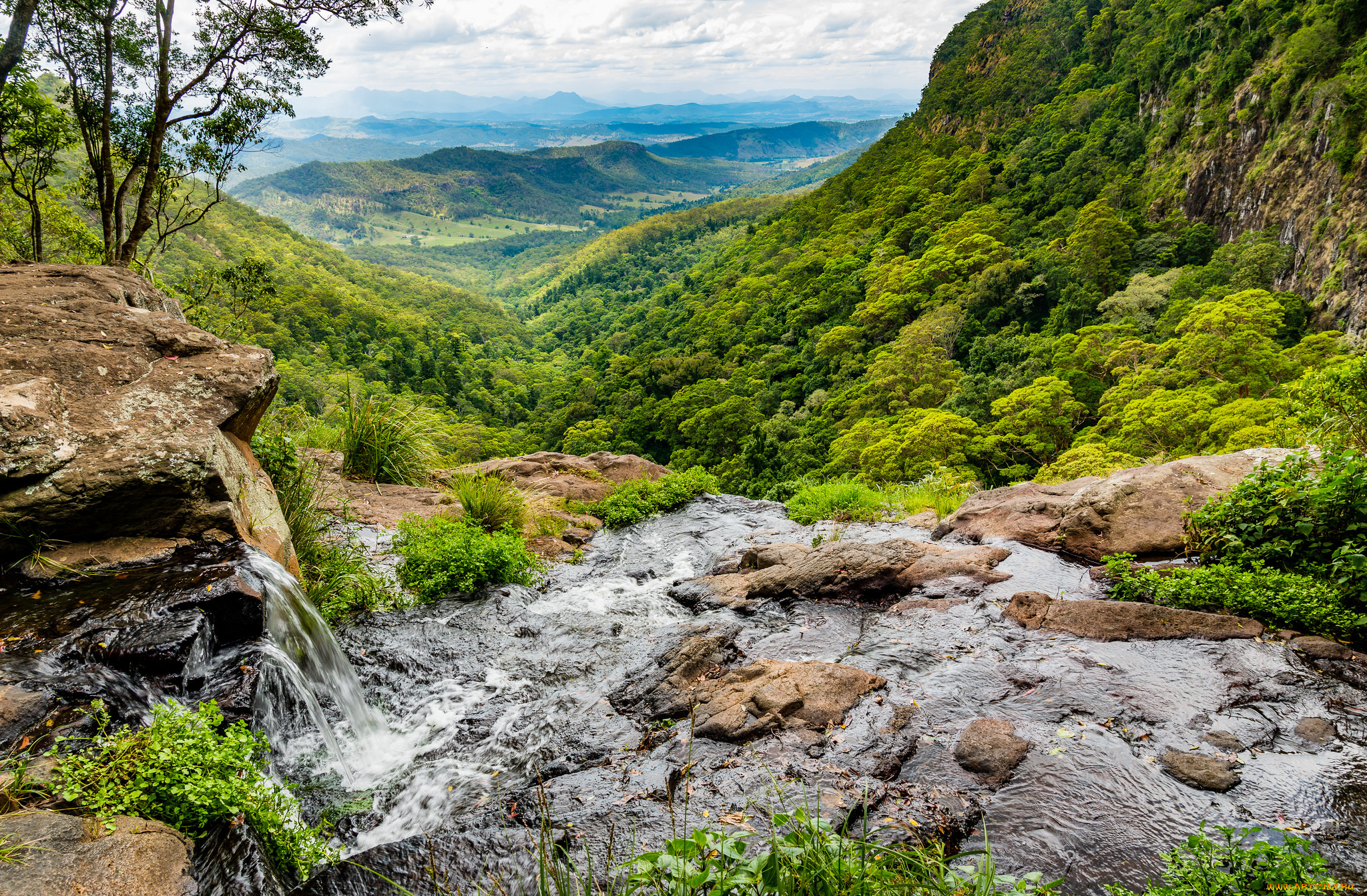 природа, реки, озера, река, лес