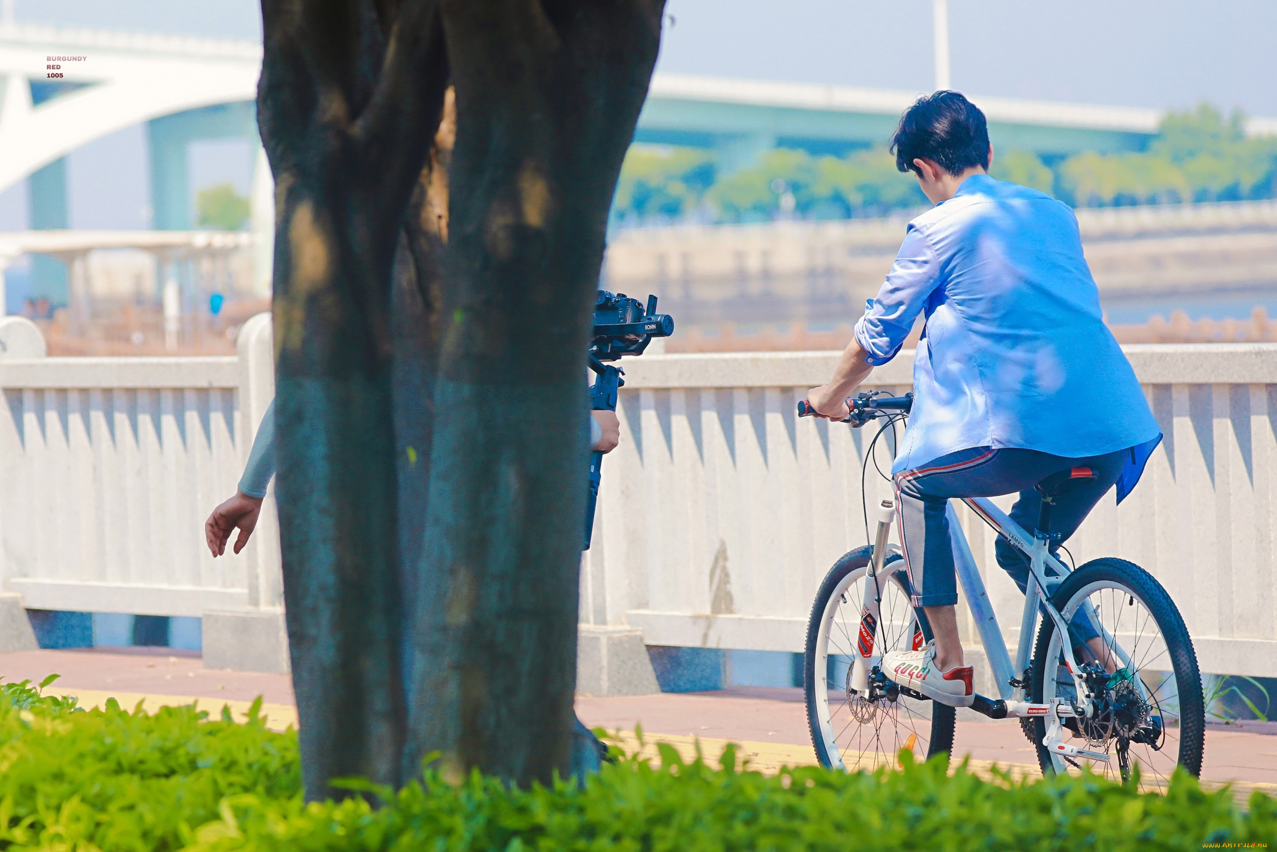 мужчины, xiao, zhan, актер, велосипед, камера, дерево