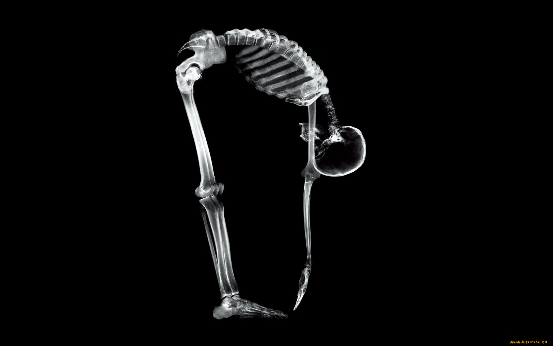 разное, кости, , рентген, скелет, человек, наклон