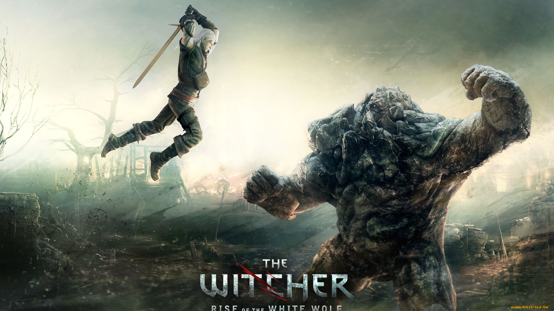 the, witcher, rise, of, white, wolf, видео, игры