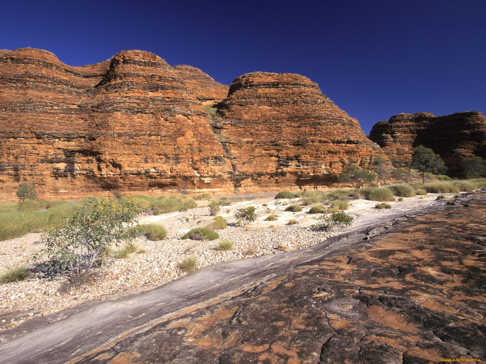 purnululu, national, park, австралия, природа, горы, деревья