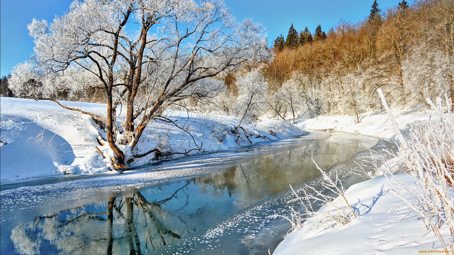 природа, зима, деревья, снег, лед, река