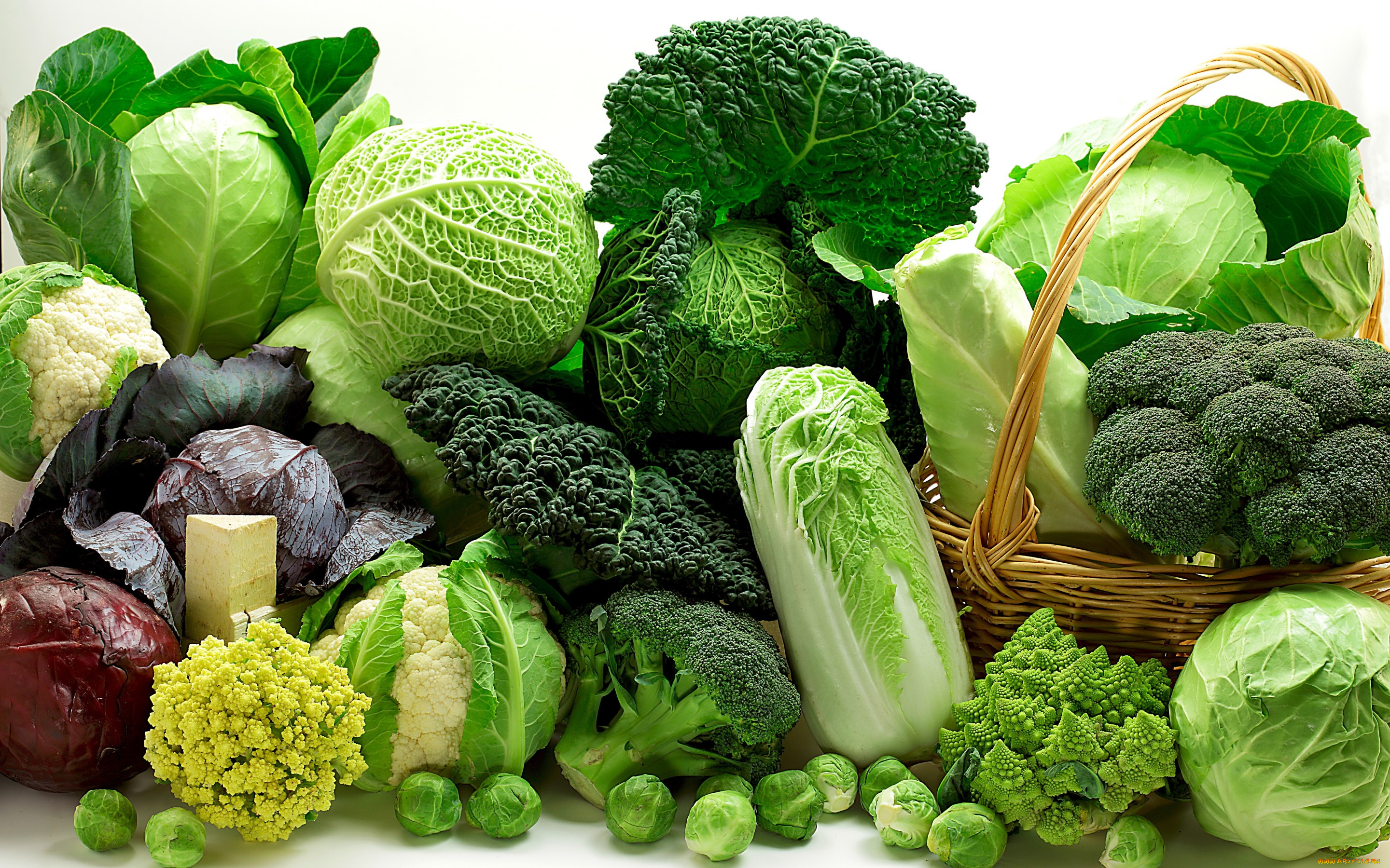 еда, капуста, и, её, разновидности, разные, капуста, овощи, корзинка, зелень, сорта