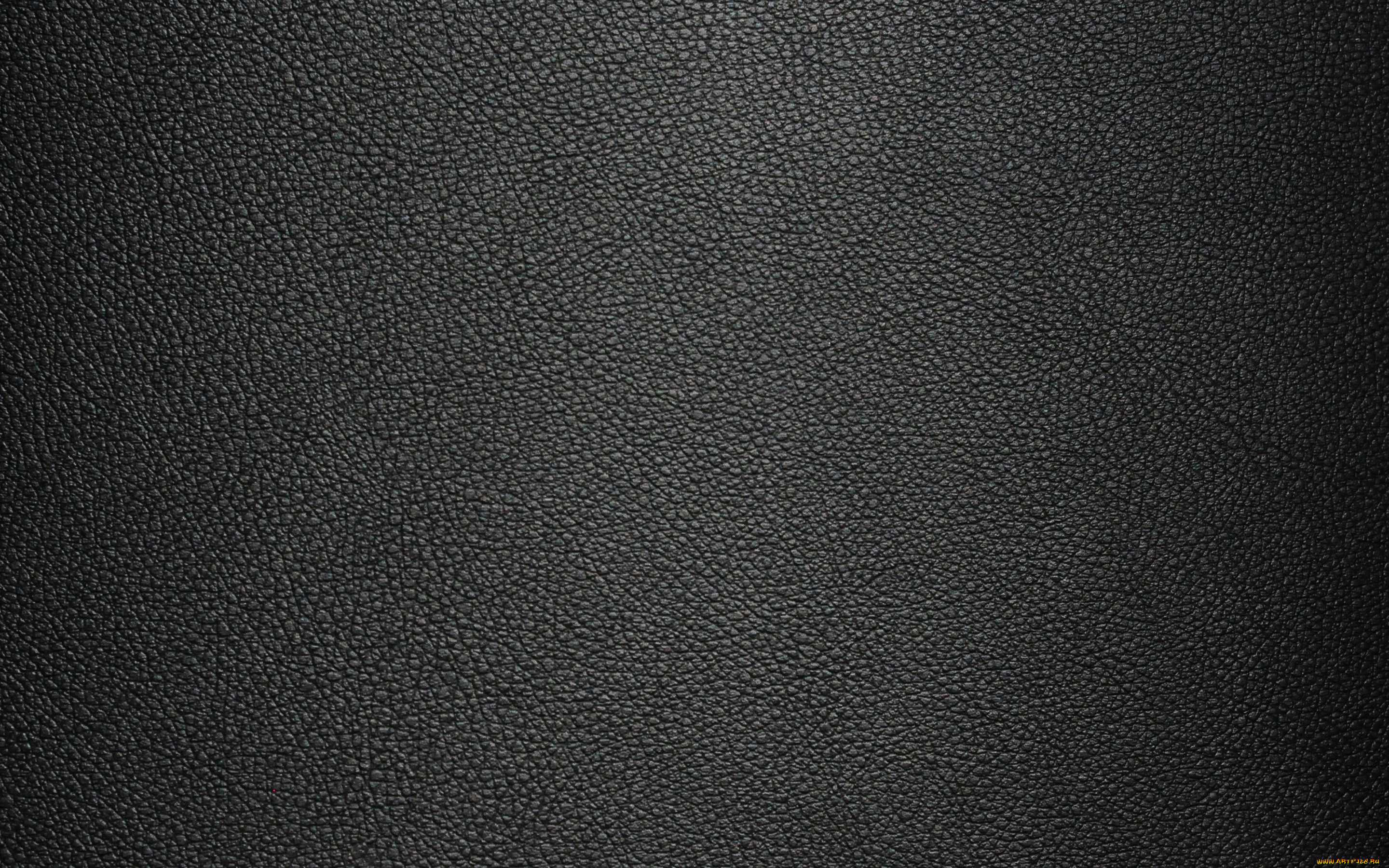 разное, текстуры, кожа, texture, skin, leather