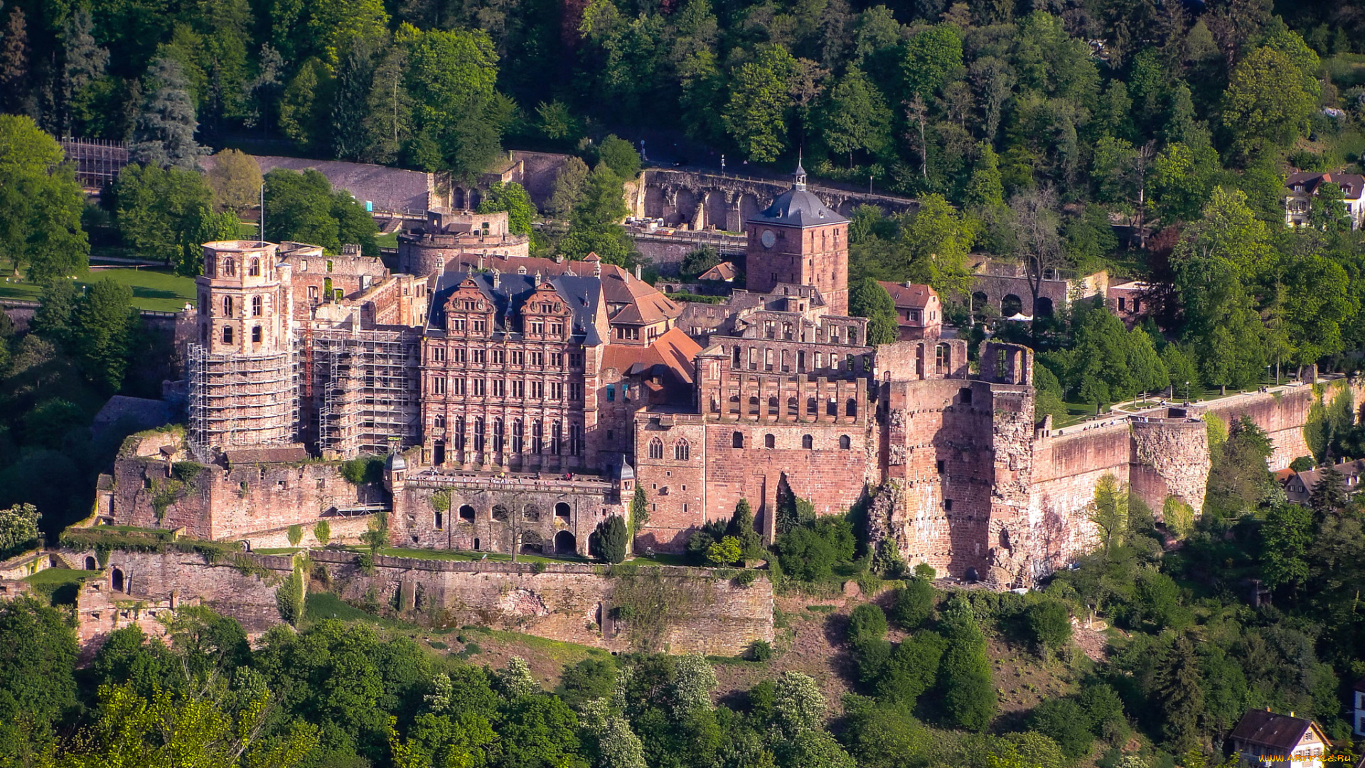 города, замки, германии, германия, heidelberg, castle, лес, деревья, замок