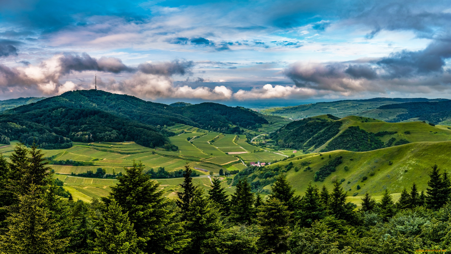 природа, поля, германия, kaiserstuhl, hills, леса, плантации, деревья, панорама, небо, облака