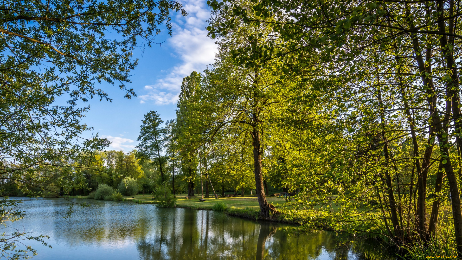 природа, реки, озера, хорватия, bobovica, zagreb, парк, деревья, озеро, лавочки