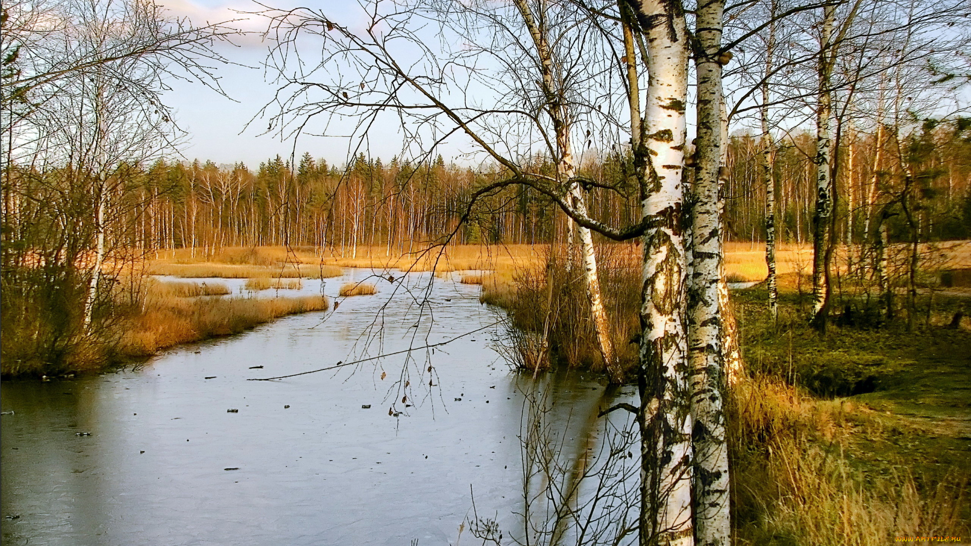 природа, реки, озера, весна, березки