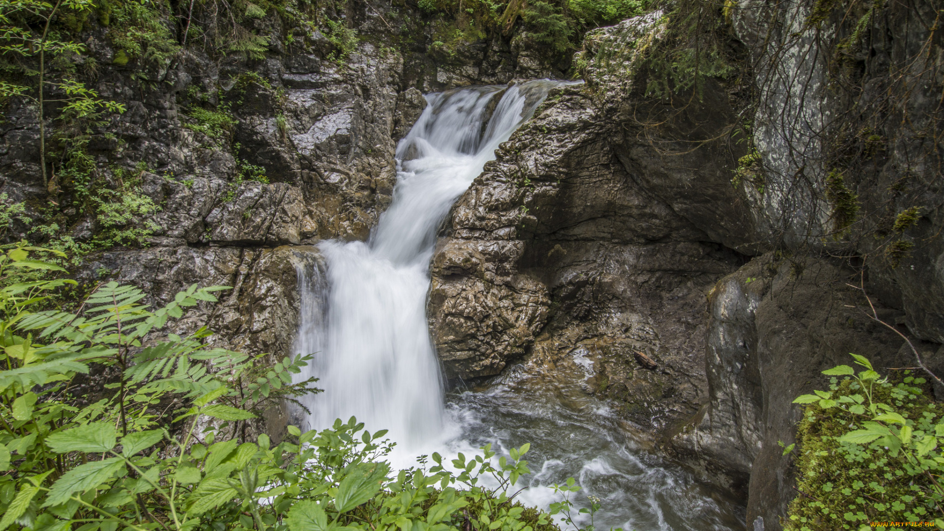 природа, водопады, водопад, река, лес