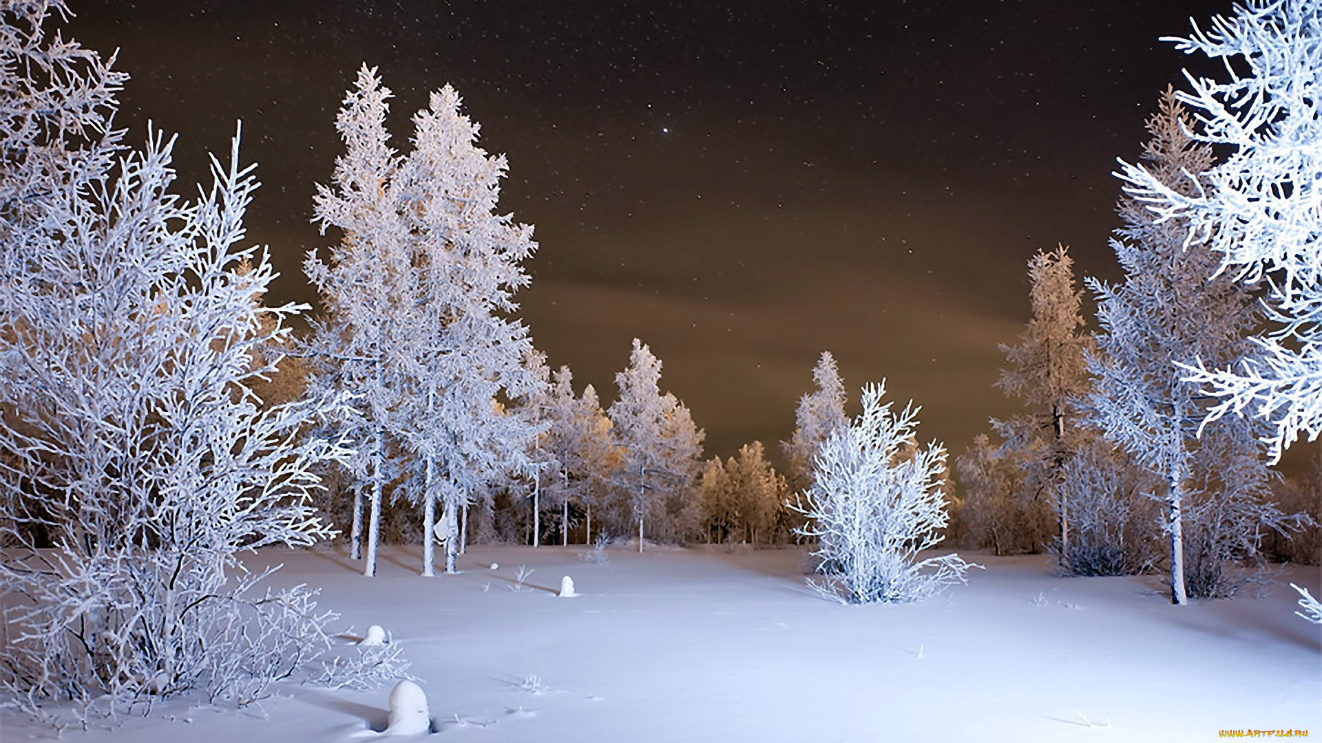 природа, зима, деревья, снег, ночь
