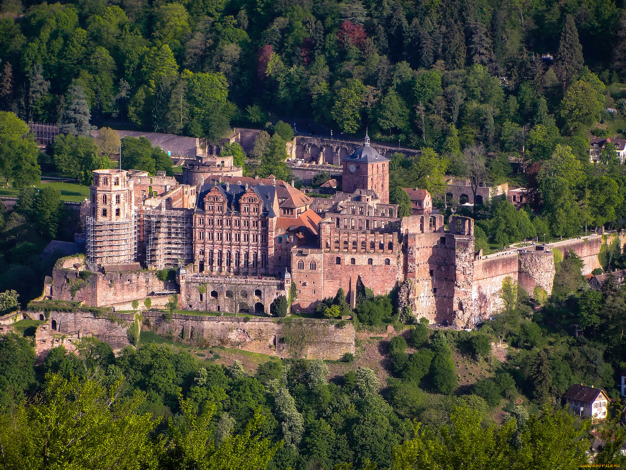 города, замки, германии, германия, heidelberg, castle, лес, деревья, замок