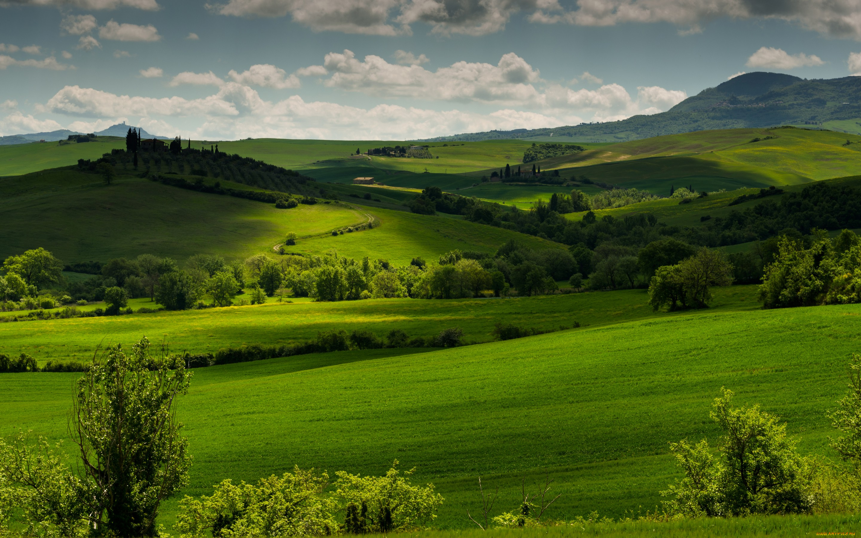 природа, поля, италия, tuscany, тоскана, луга, холмы, зелень, трава, деревья, облака