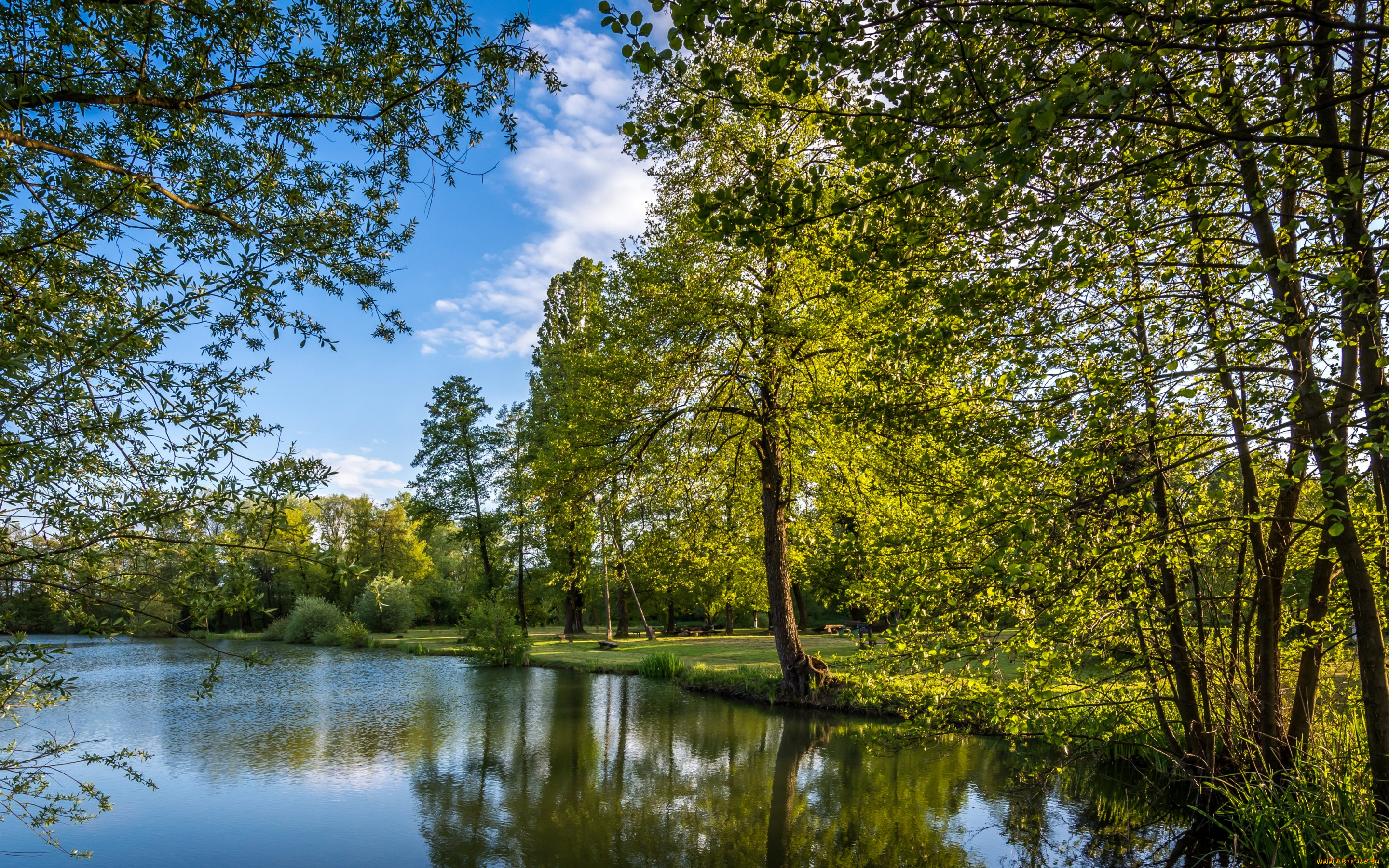 природа, реки, озера, хорватия, bobovica, zagreb, парк, деревья, озеро, лавочки