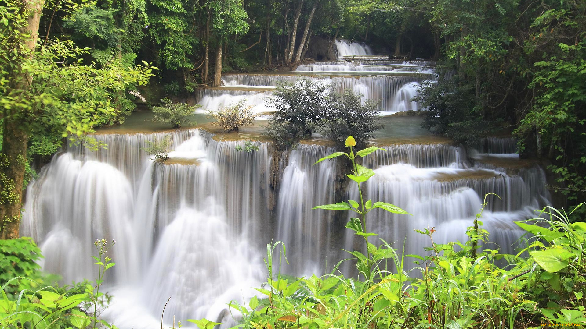 forest, stream, cascades, thailand, природа, водопады, forest, stream, cascades