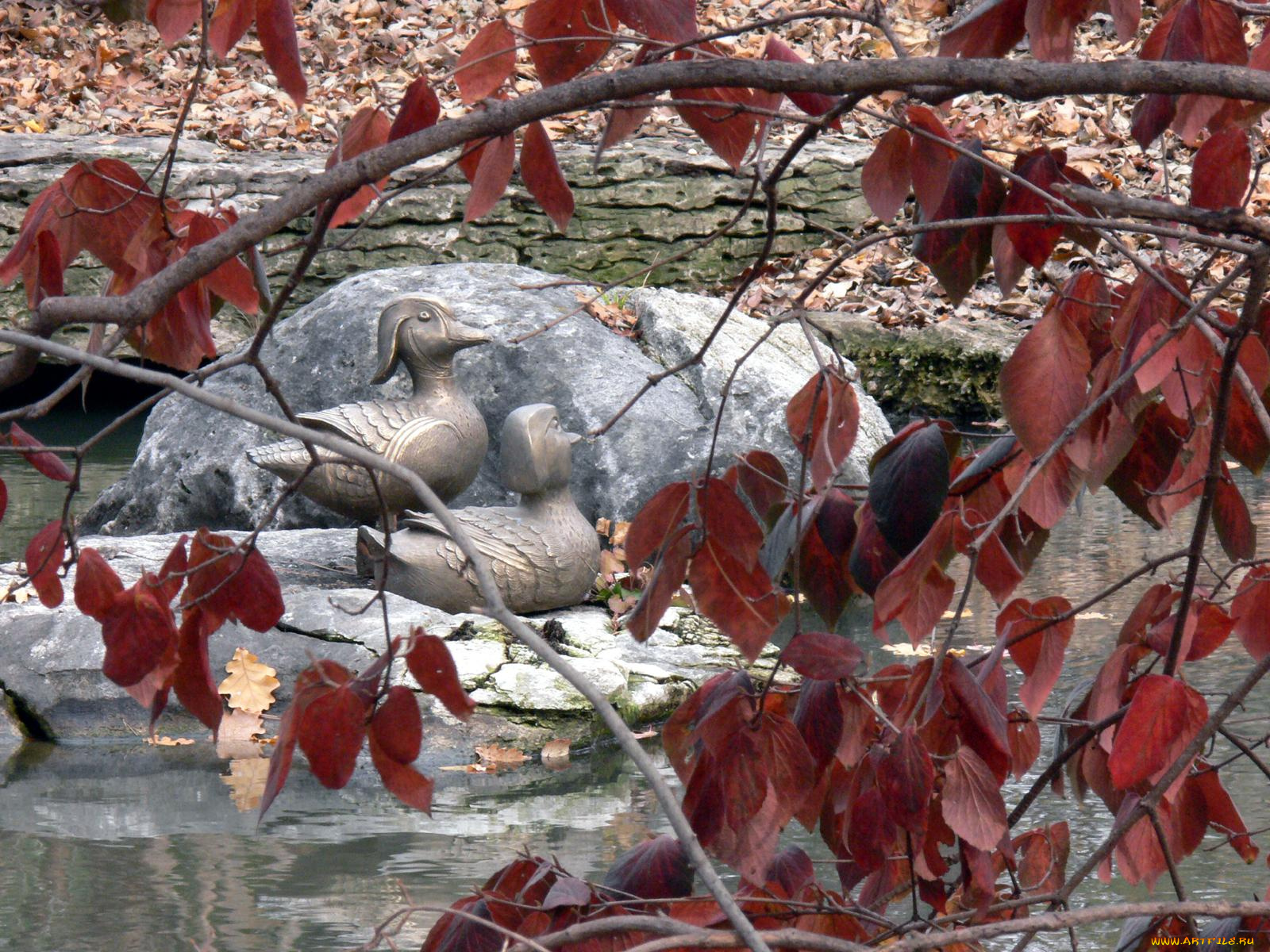 duck, sculptures, in, woodland, garden, разное, рельефы, статуи, музейные, экспонаты