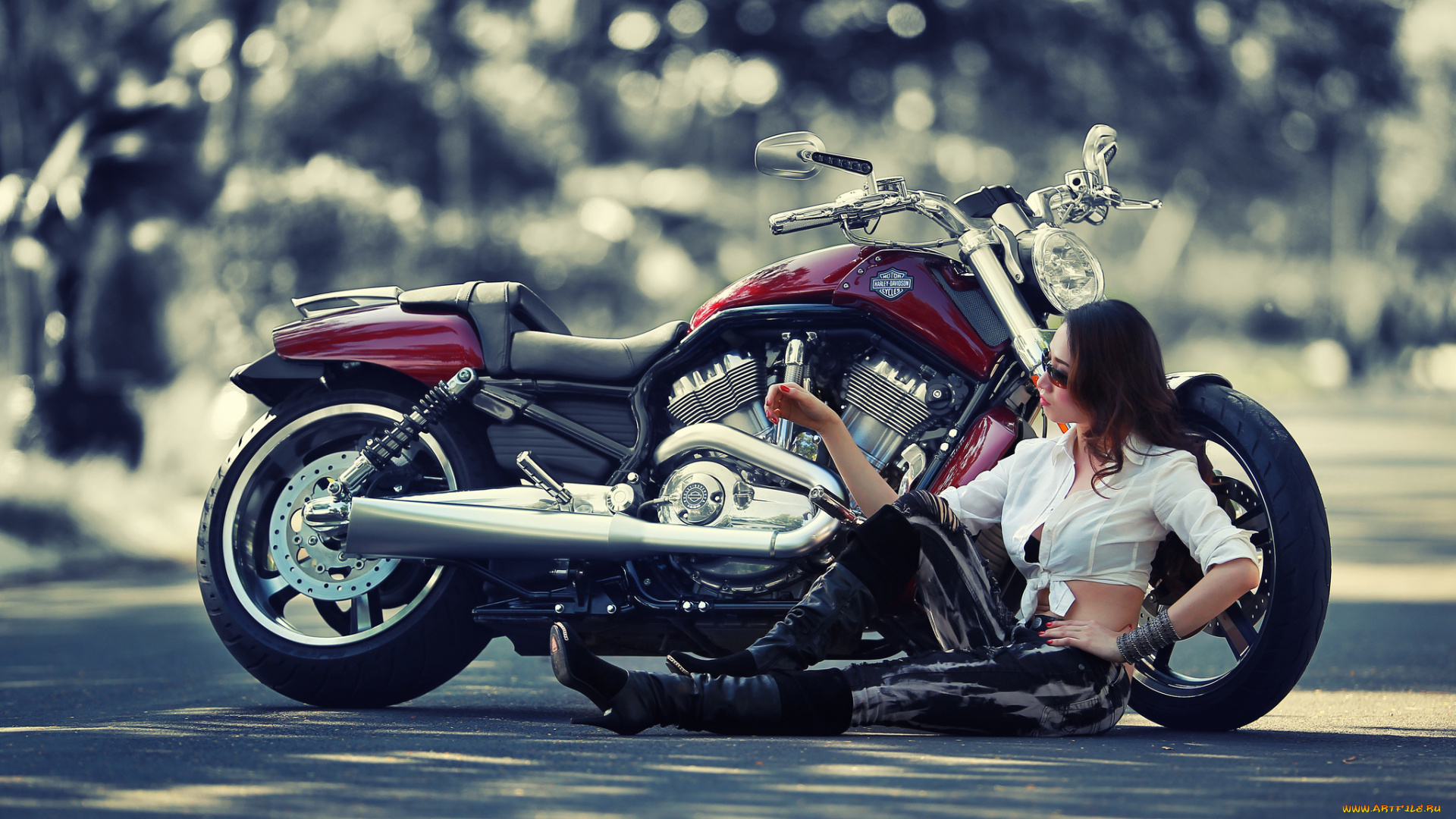 мотоциклы, мото, девушкой, harley-davidson