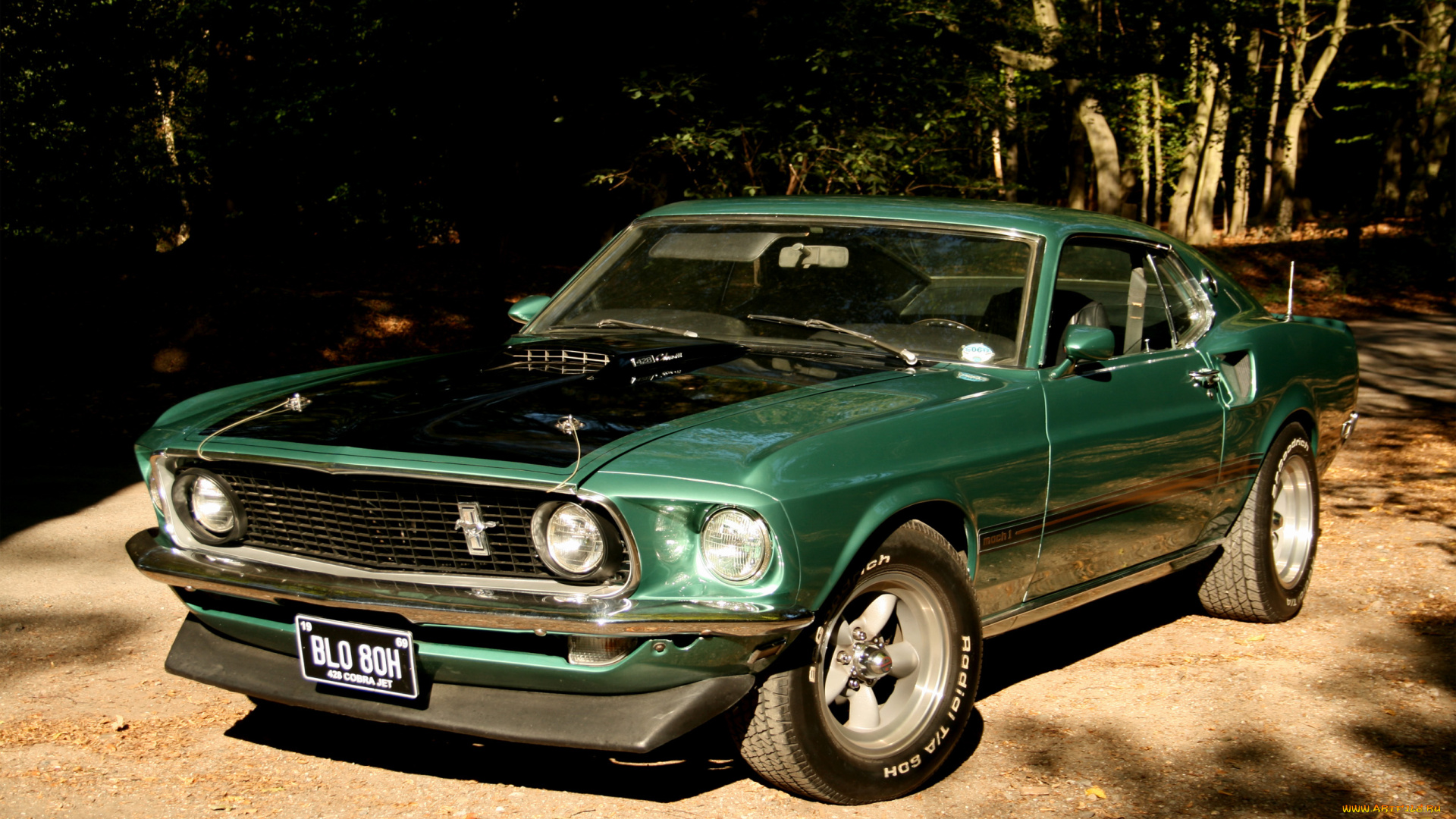 автомобили, mustang, green, ford