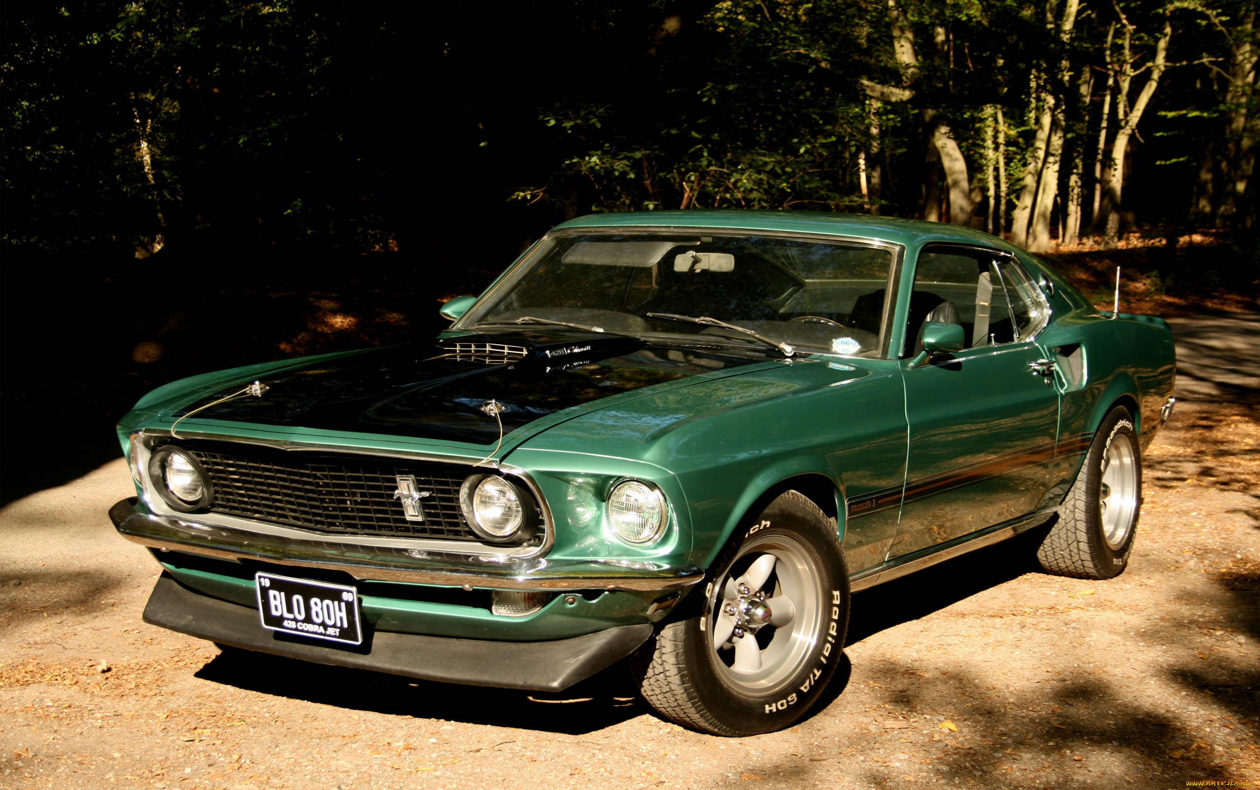 автомобили, mustang, green, ford