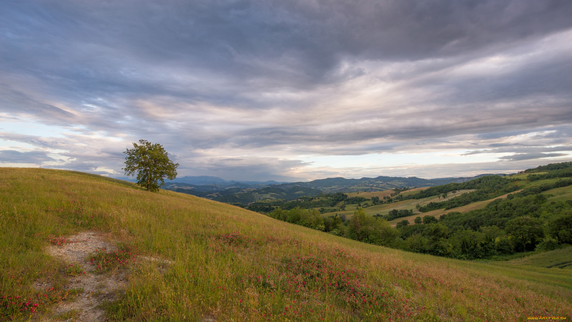 природа, пейзажи, простор