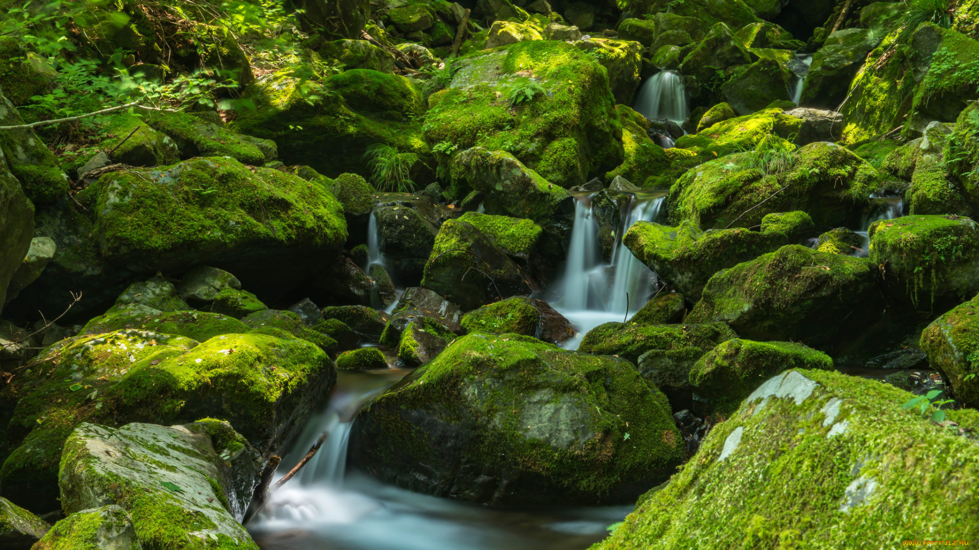 природа, водопады, water, stream, autumn, leaves, осень, листья, waterfall, водопад, поток, вода