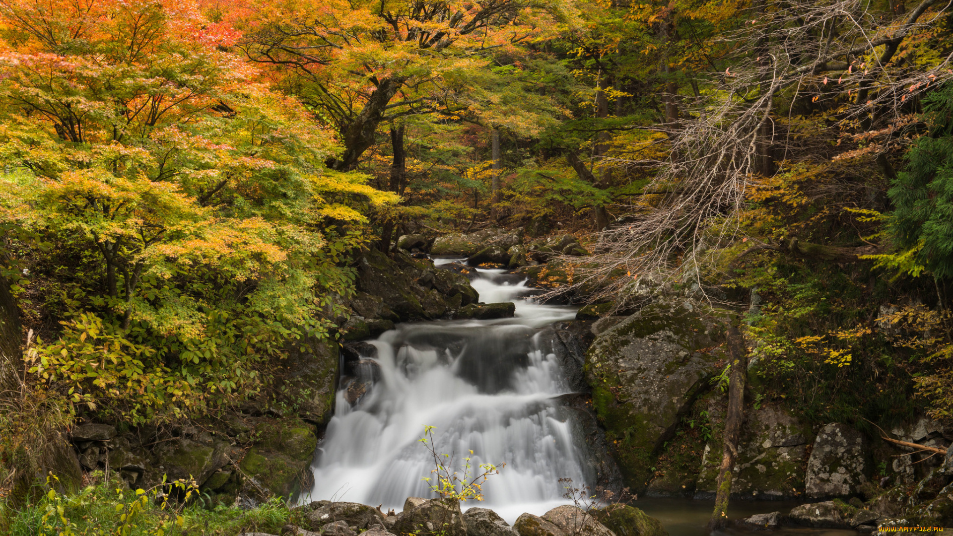 природа, водопады, water, водопад, осень, листья, вода, поток, l, stream, waterfall