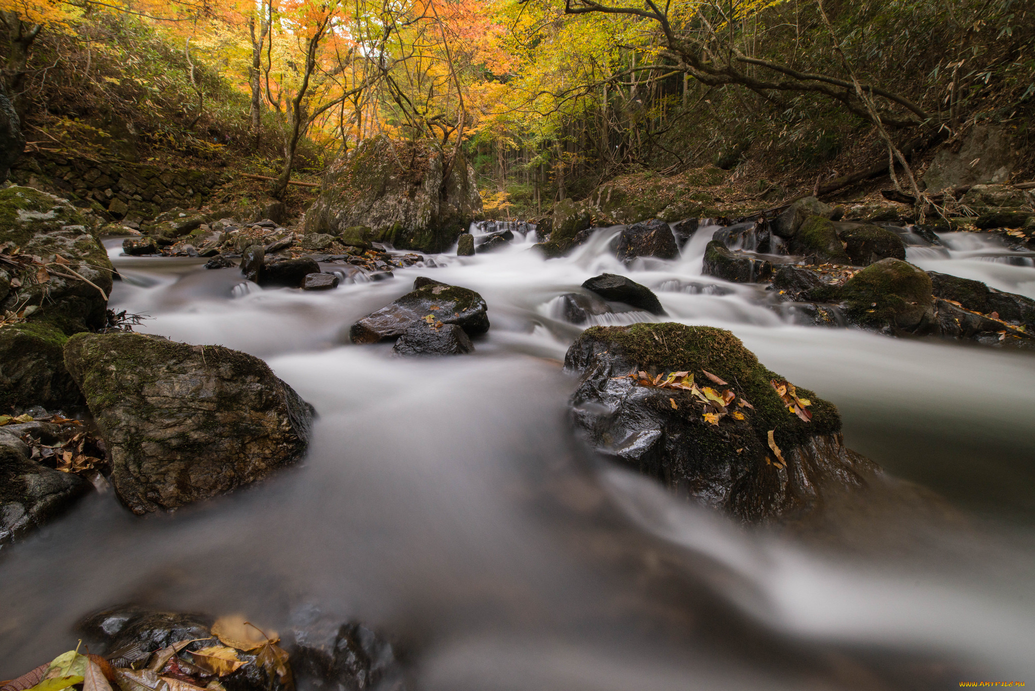 природа, реки, озера, вода, l, water, stream, waterfall, листья, осень, поток, водопад