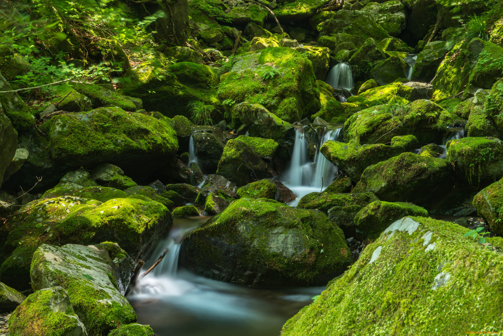 природа, водопады, water, stream, autumn, leaves, осень, листья, waterfall, водопад, поток, вода