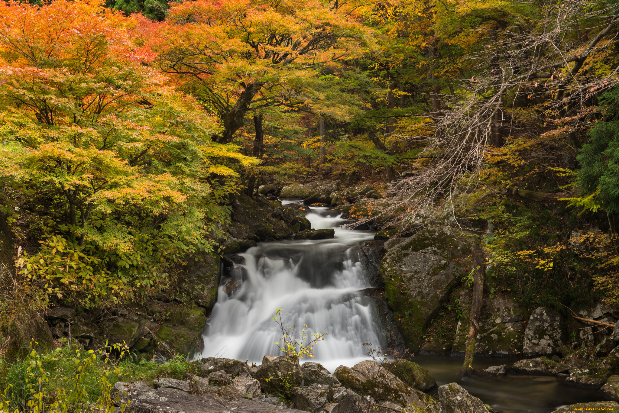 природа, водопады, water, водопад, осень, листья, вода, поток, l, stream, waterfall