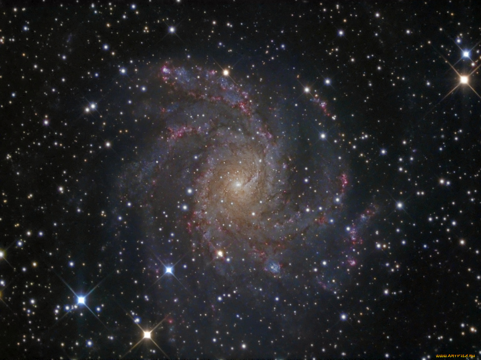 ngc6946, космос, галактики, туманности