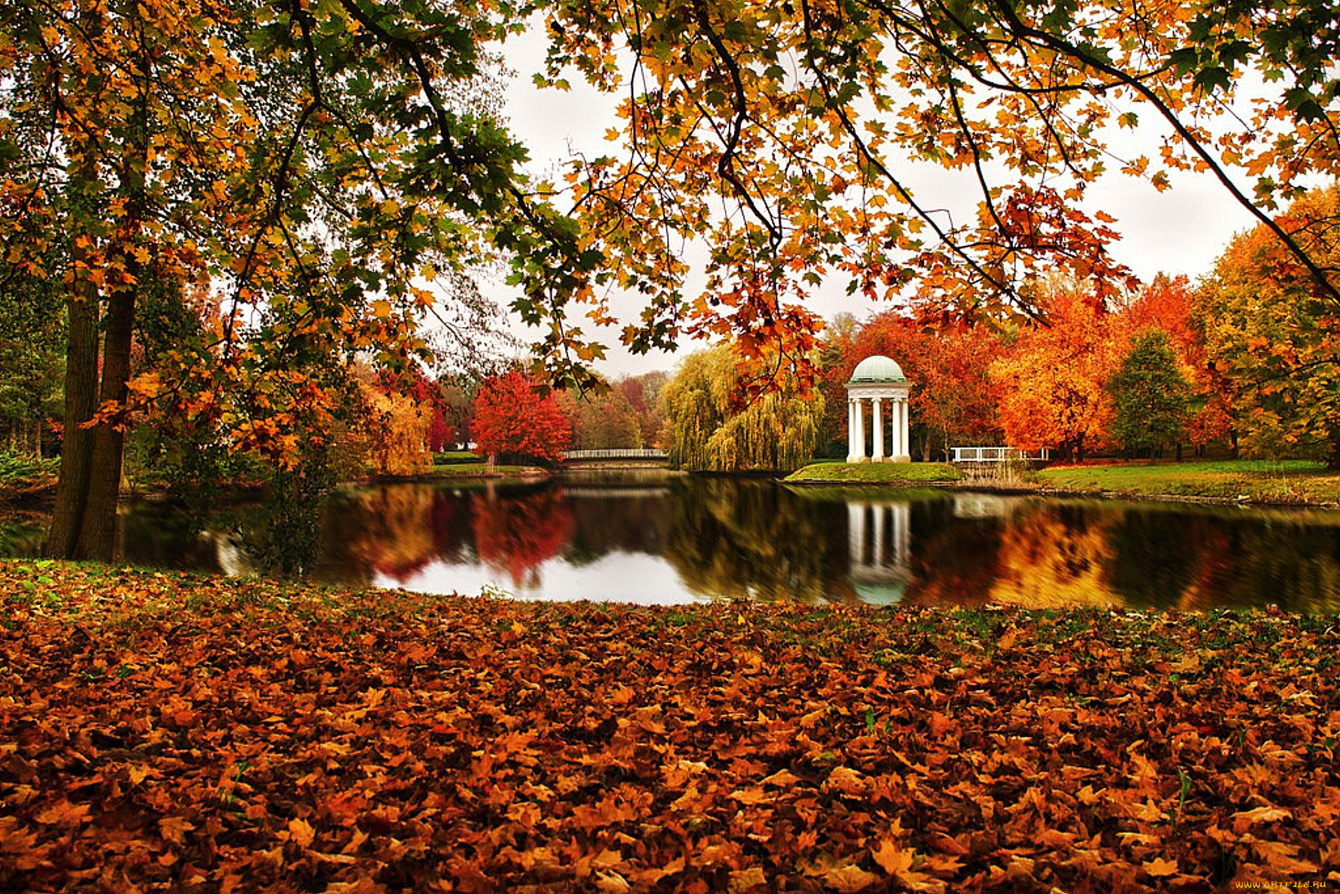 autumn, природа, парк, беседка, пруд, осень