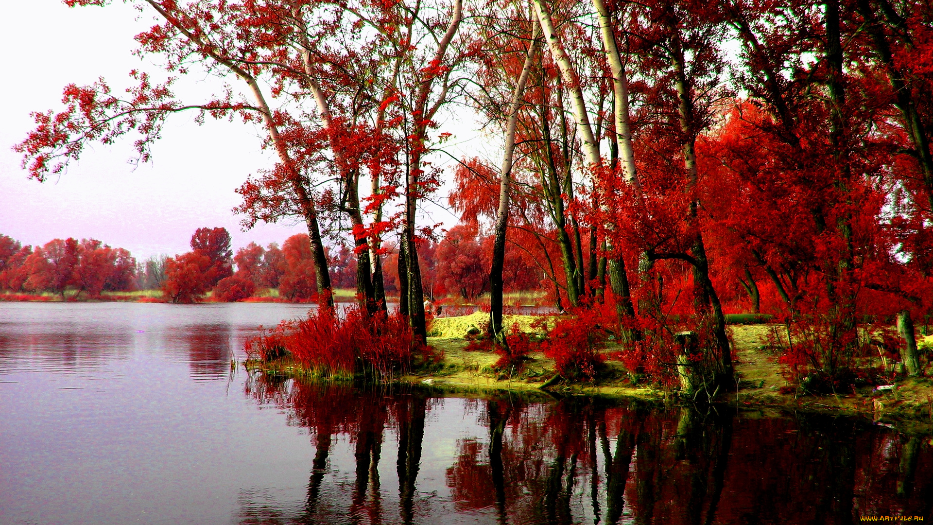 autumn, природа, реки, озера, осень, река, деревья, красные, листья
