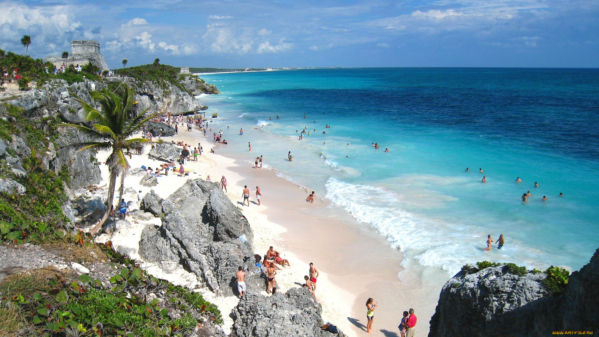 beautiful, beach, in, mexico, природа, побережье, океан, пальмы, пляж
