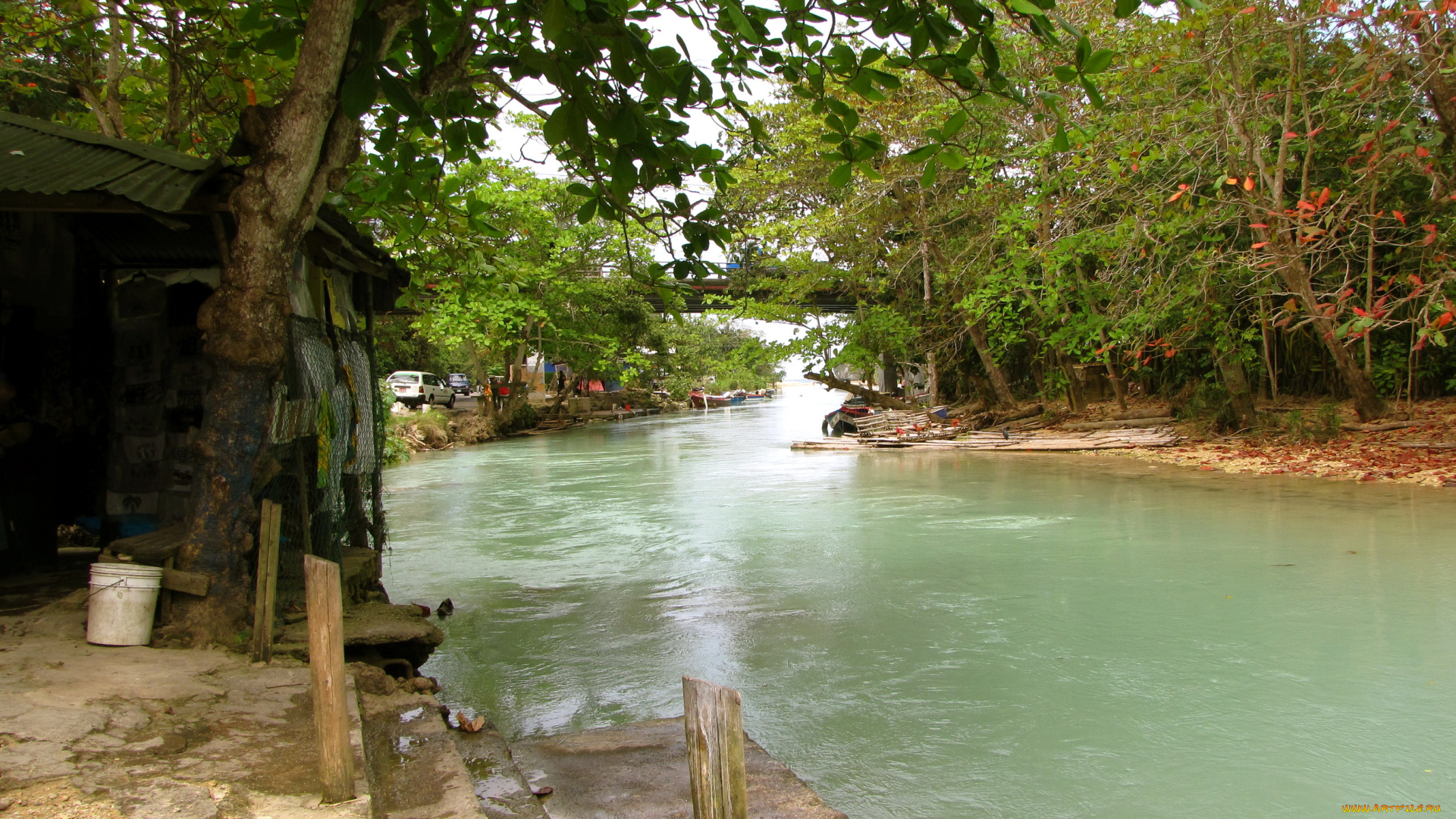 jamaica, природа, реки, озера, река