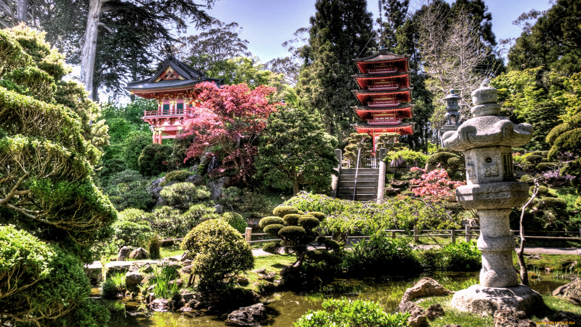 japanese, tea, garden, природа, парк, Япония, чайный, сад