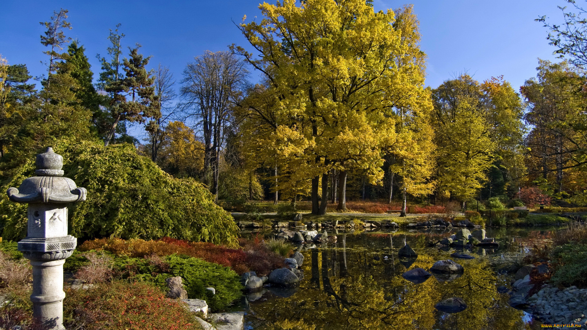 wroclaw, poland, японский, сад, природа, парк