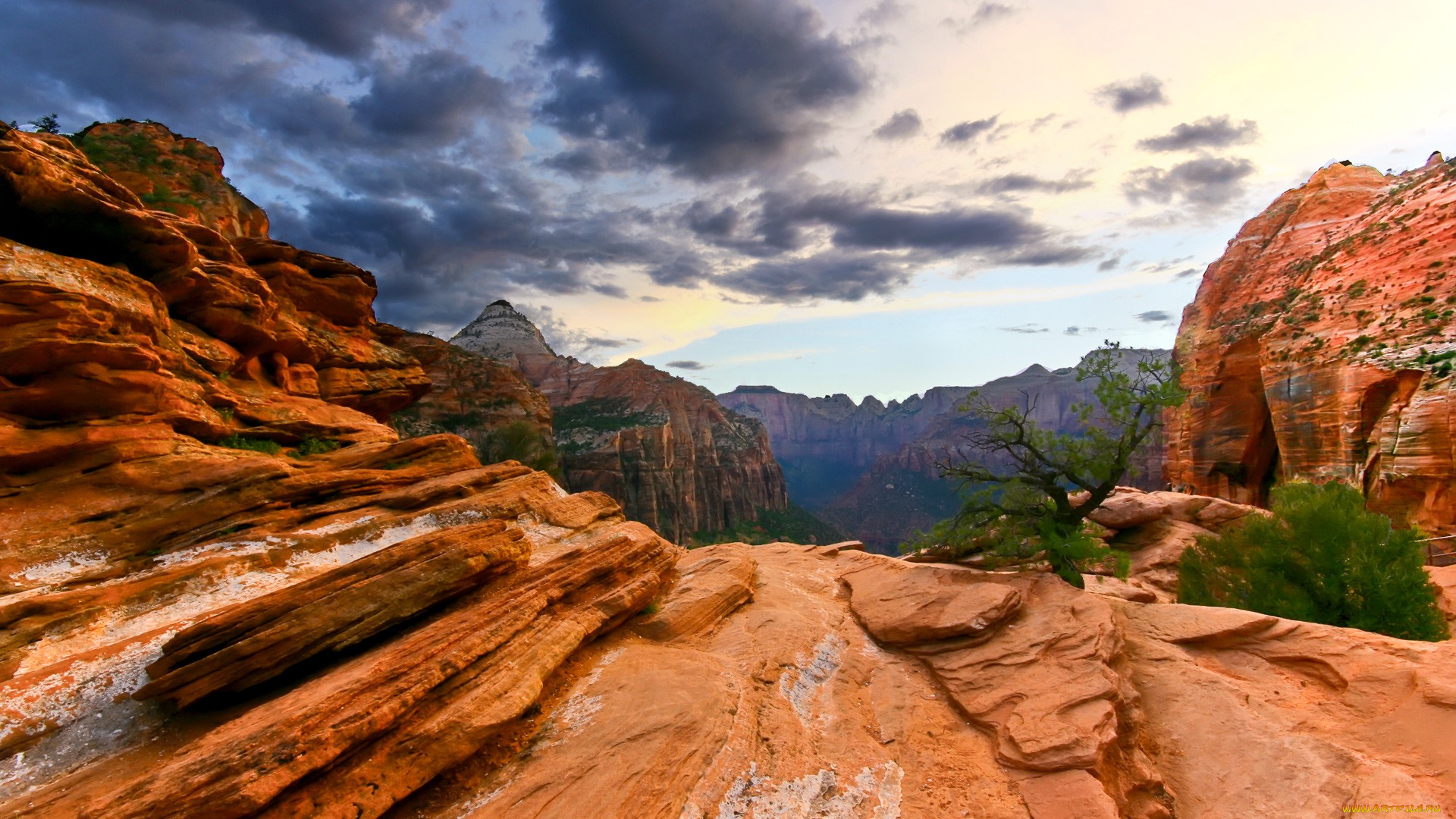 zion, national, park, природа, горы, камни, панорама