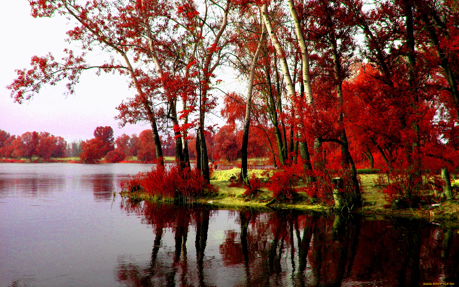 autumn, природа, реки, озера, осень, река, деревья, красные, листья