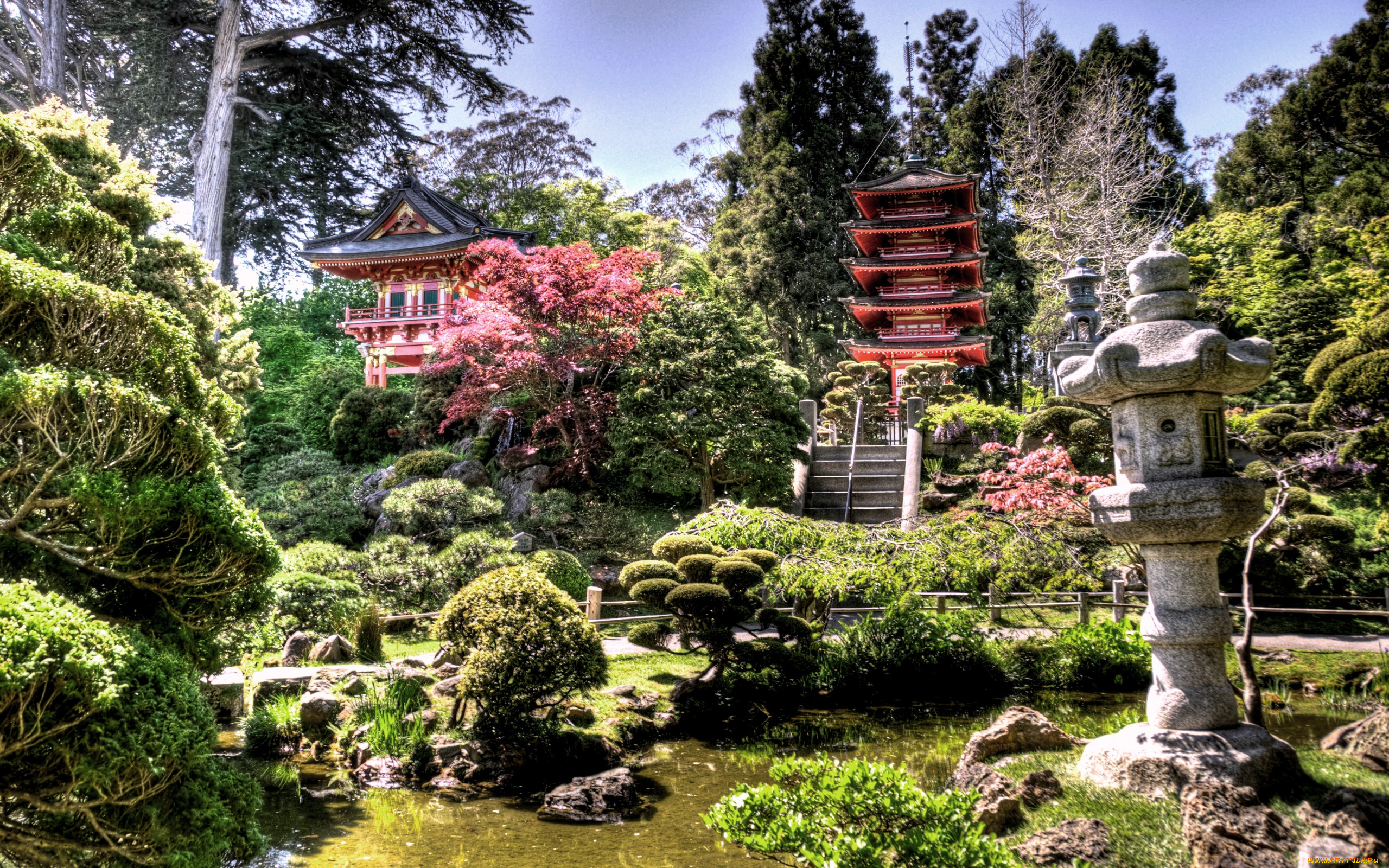 japanese, tea, garden, природа, парк, Япония, чайный, сад