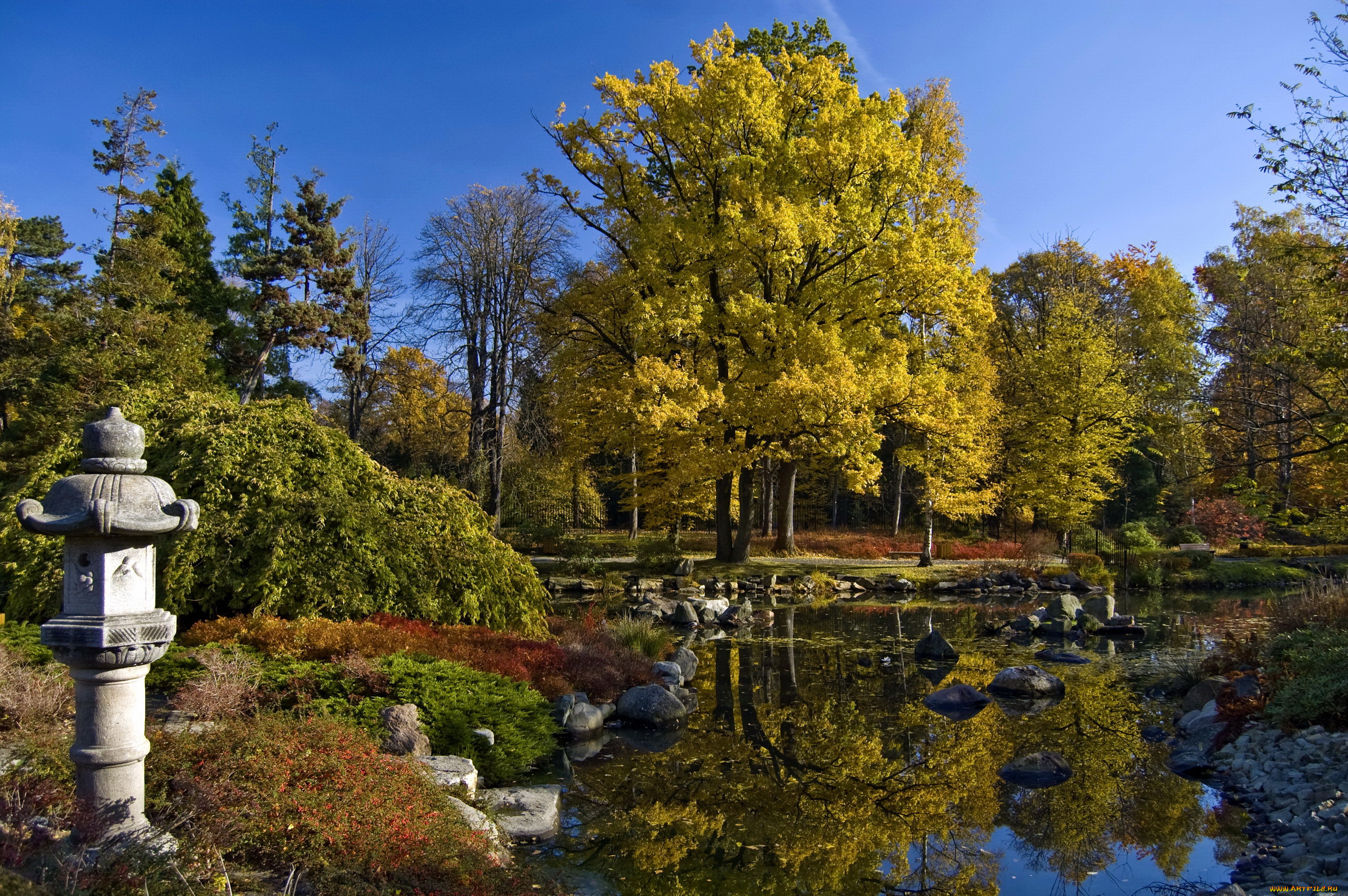 wroclaw, poland, японский, сад, природа, парк