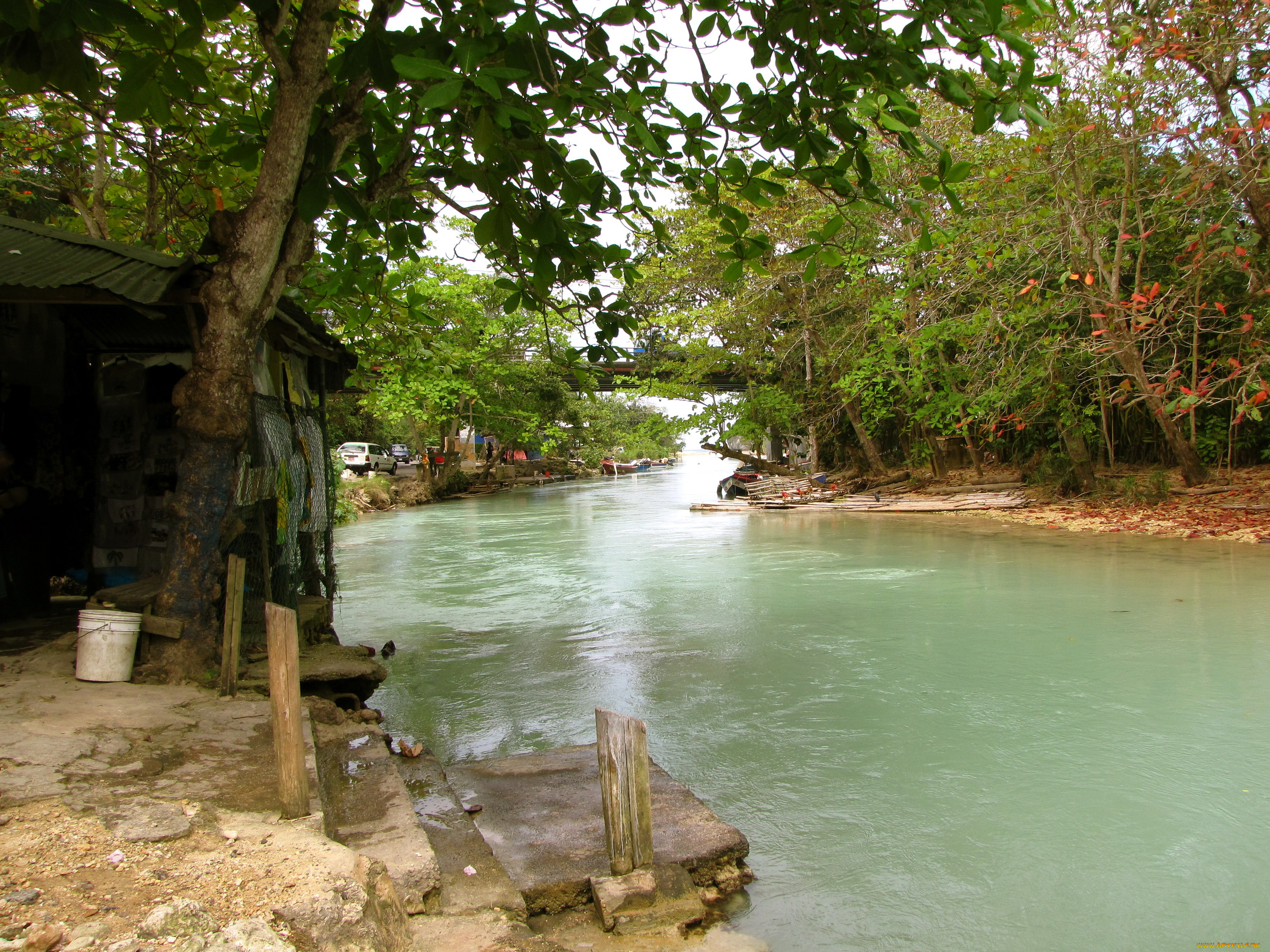 jamaica, природа, реки, озера, река