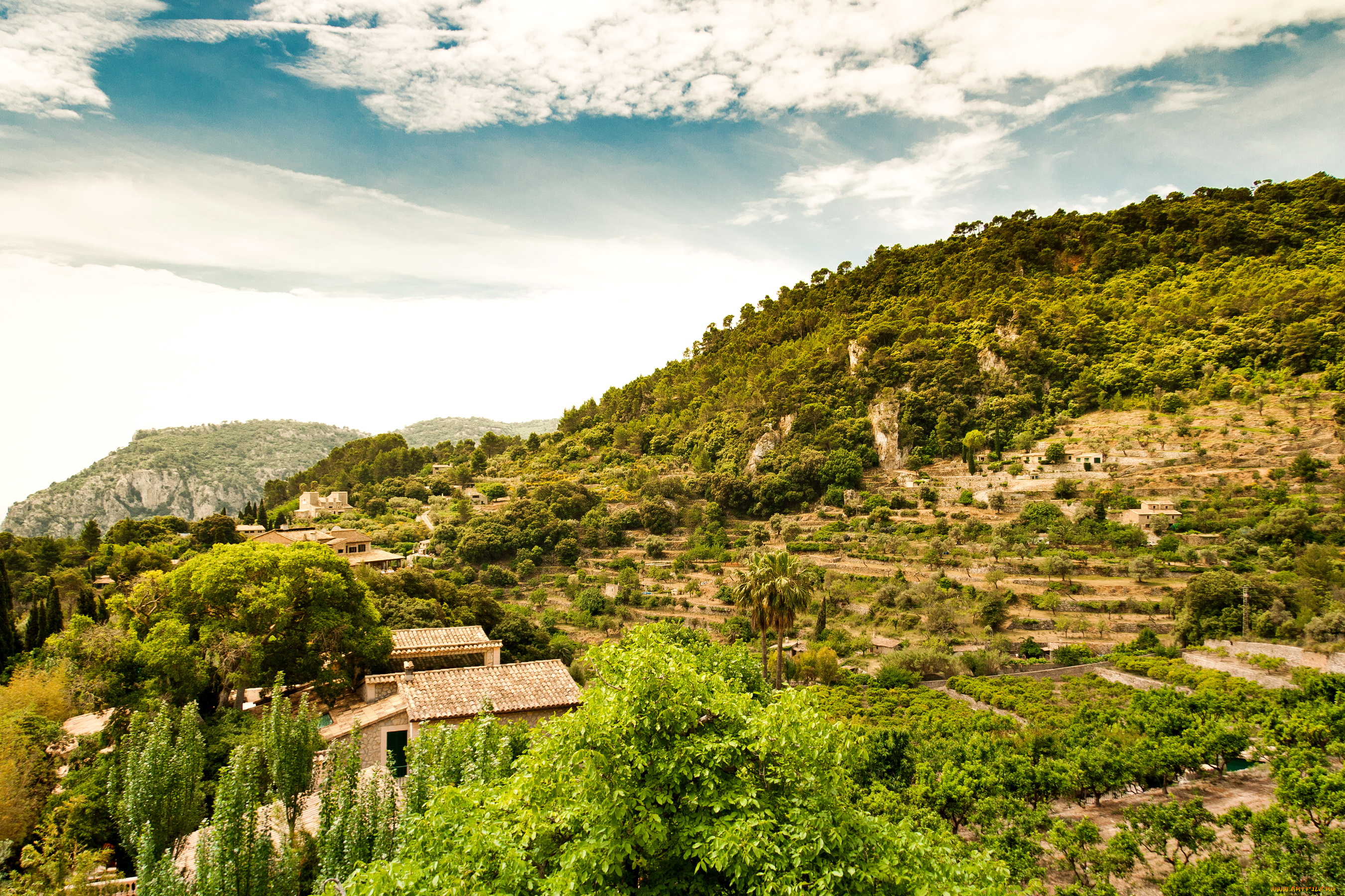 испания, mallorca, природа, горы