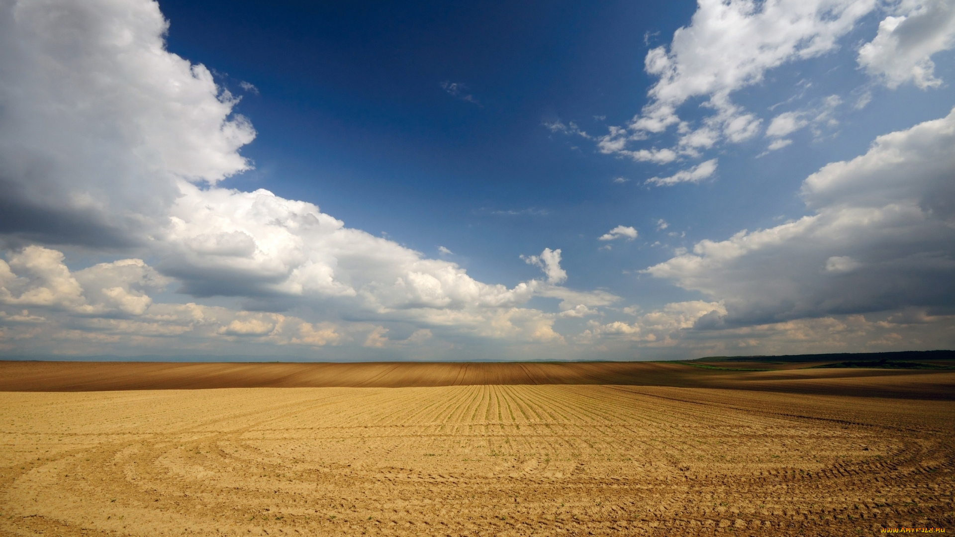 природа, поля, пшеница, небо, сербия, облака