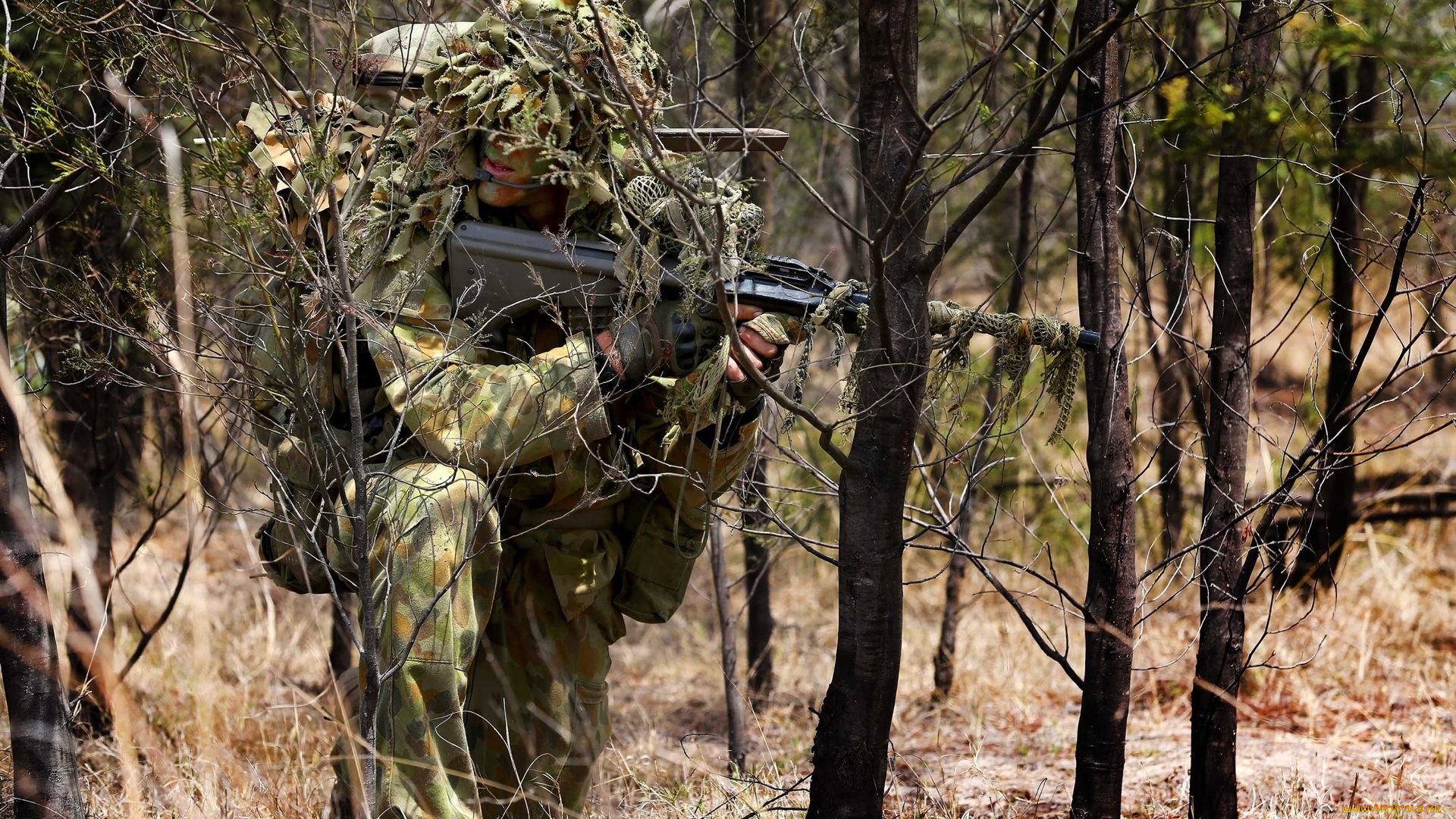 оружие, армия, спецназ, camouflage, soldier, australian, army, sniper, forest