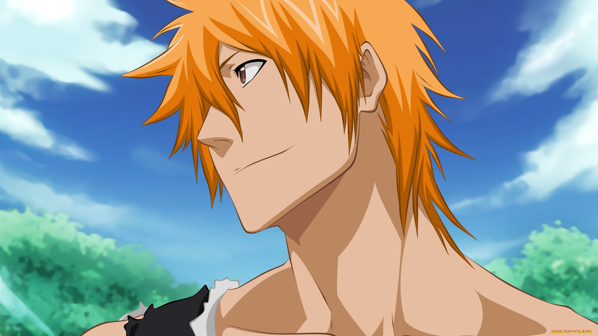 аниме, bleach, ичиго