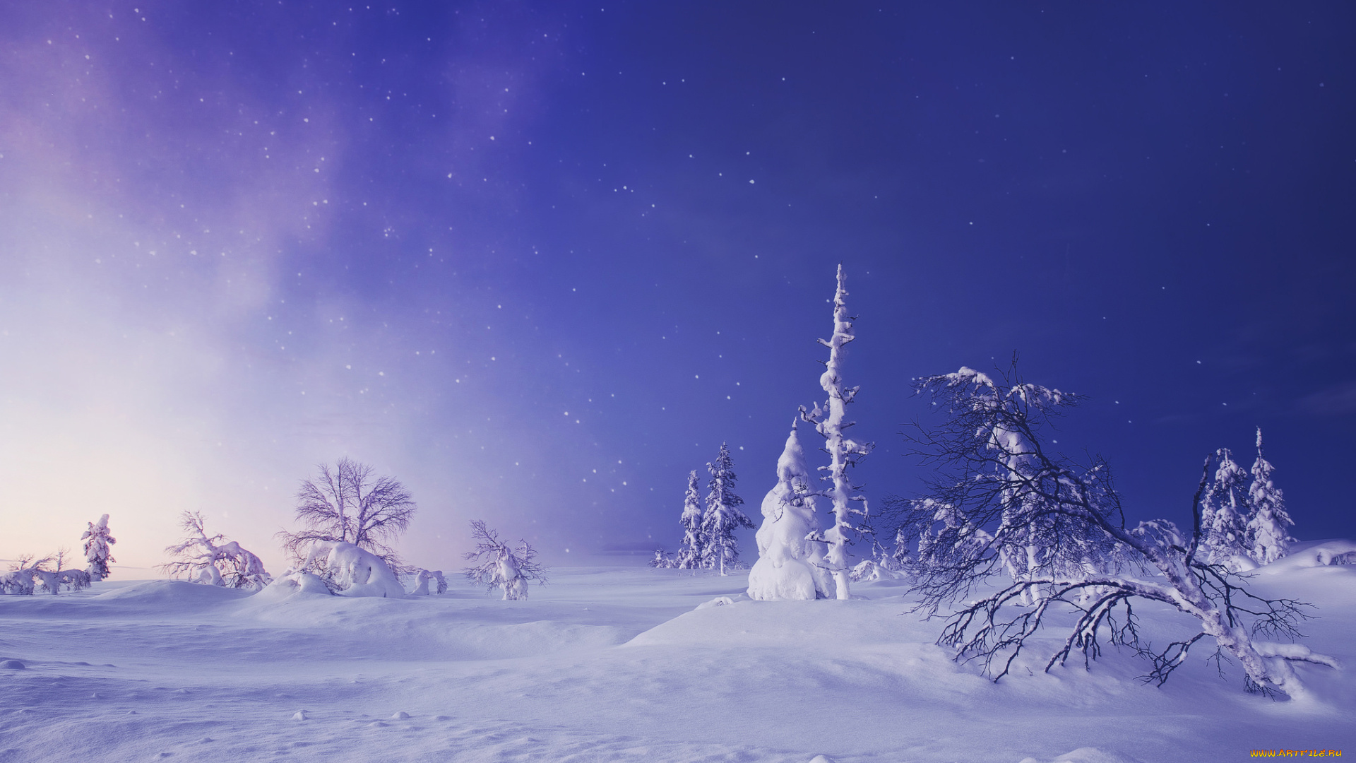 природа, зима, lapland, finland, лапландия, финляндия, снег, звёздное, небо, сугробы, деревья