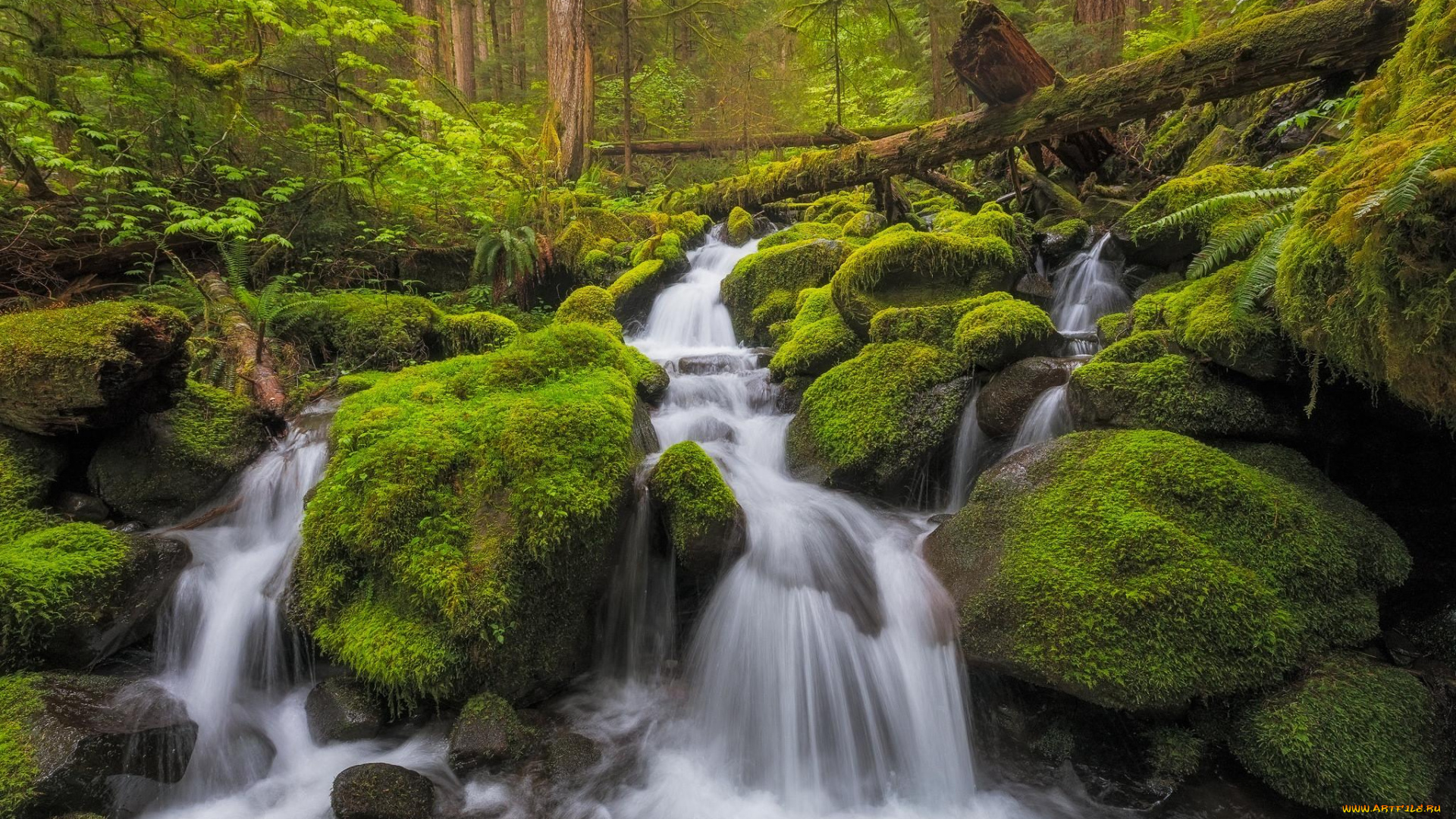 природа, водопады, водопад, скалы, деревья