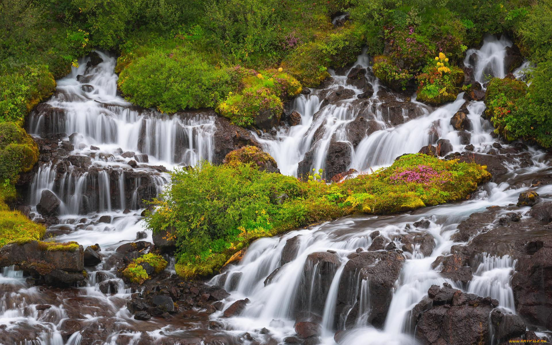 природа, водопады, австралия, tasmania, река, liffey, falls, водопад