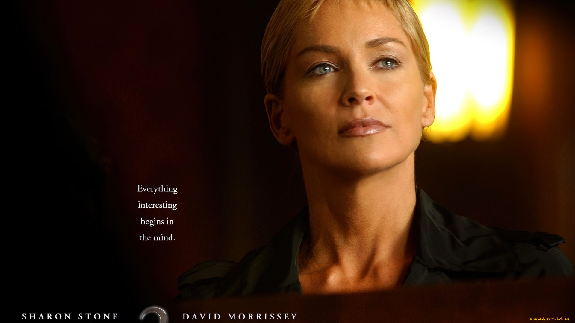 кино, фильмы, basic, instinct, 2, , risk, addiction, женщина, блондинка, лицо